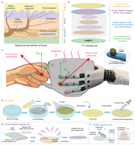 Soft tactile sensing and force / temperature decoupling.