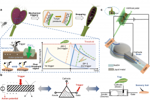 Material-based logic and nature-inspired intelligence.