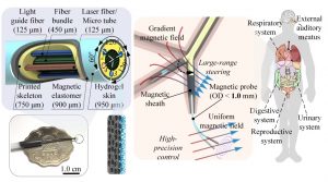 Submillimeter fiberscopic robots with maneuvering, imaging, and operation abilities.