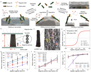 Reconfigurable small-scale robots and adaptive behaviors.