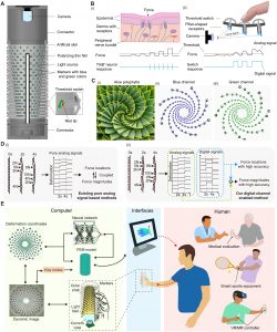 Distributed force decoding for hand-centric interaction.